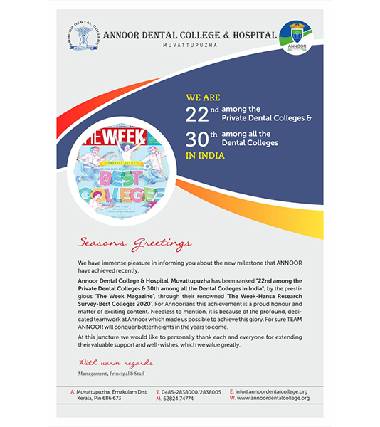 Week Content Section