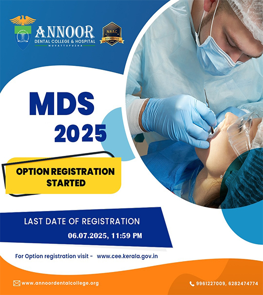 MDS Option Content Section Image Copy