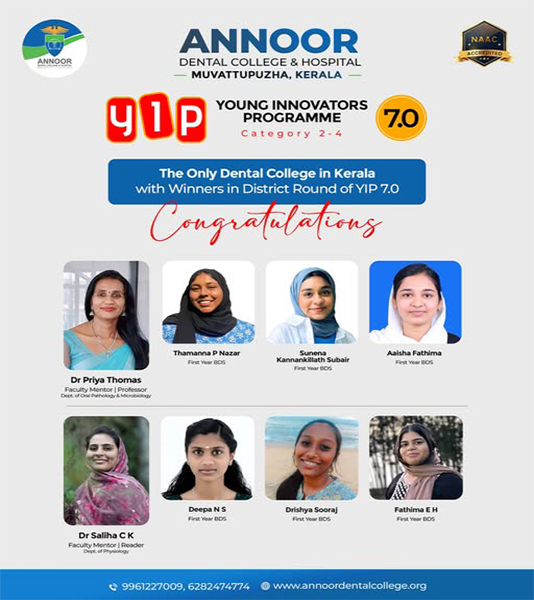 Yip Second Content Section